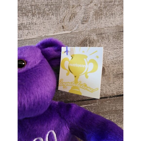 Nutrisystem Celebration Bears 20 & 30 Lbs Purple & Blue Plush Collectible - Picture 4 of 15